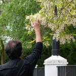 Tips for Creating the Perfect Celebration of Life Announcements and Funeral Programs Quickly