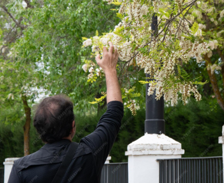 Tips for Creating the Perfect Celebration of Life Announcements and Funeral Programs Quickly